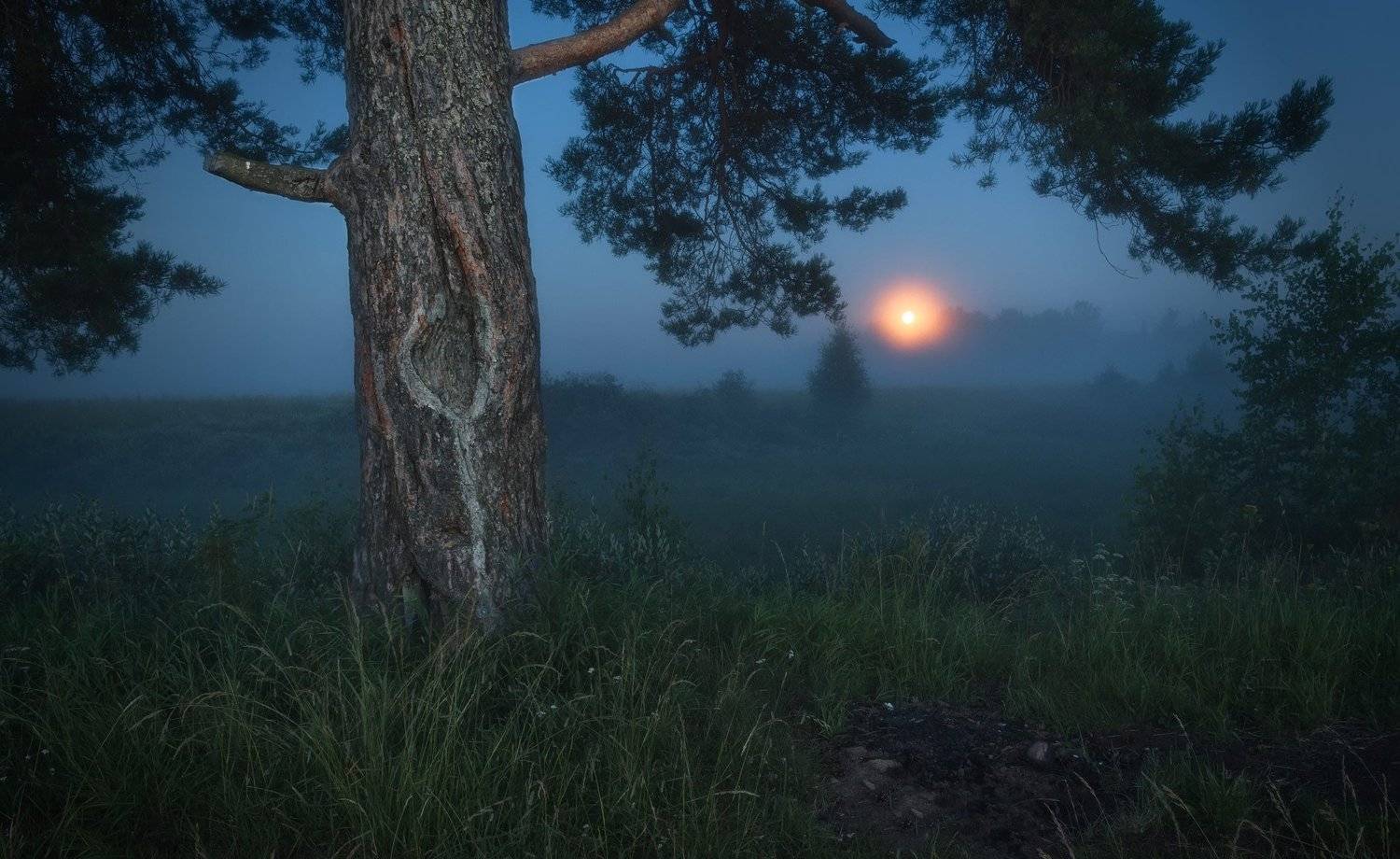 , Смилык Павел