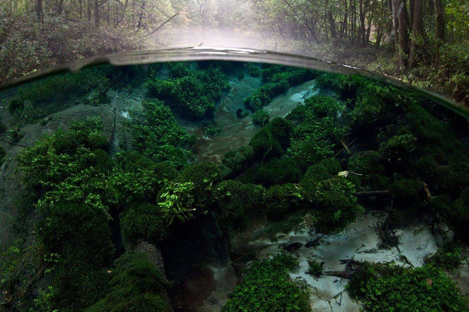 Утренний сон.. Автор: Эдуард VTORNIK Николаев , Эдуард VTORNIK Николаев