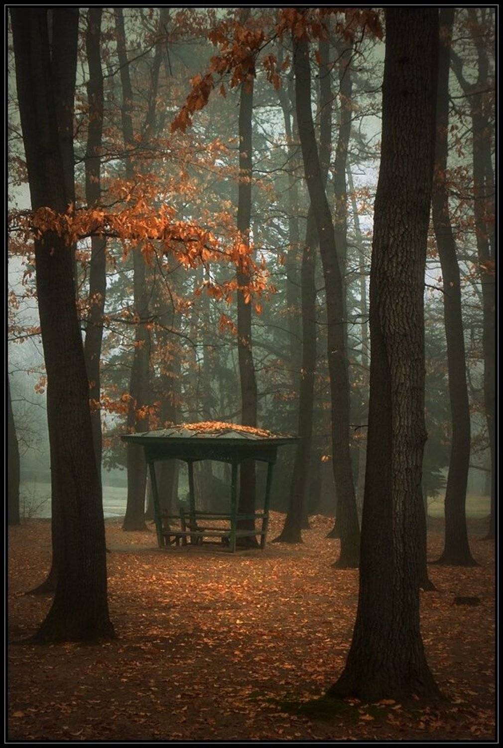 Автор: Svetoslav Georgiev bulgaria, sofia, Svetoslav Georgiev