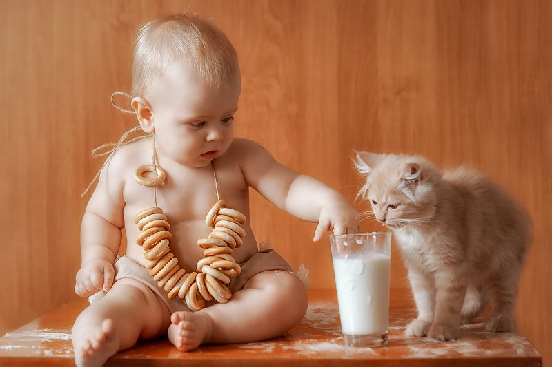 Котятаphoto preview