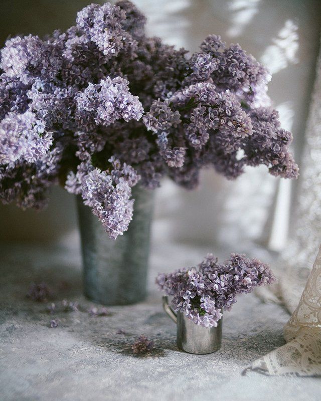 букет, лето, свет, цветы, сирень photo preview