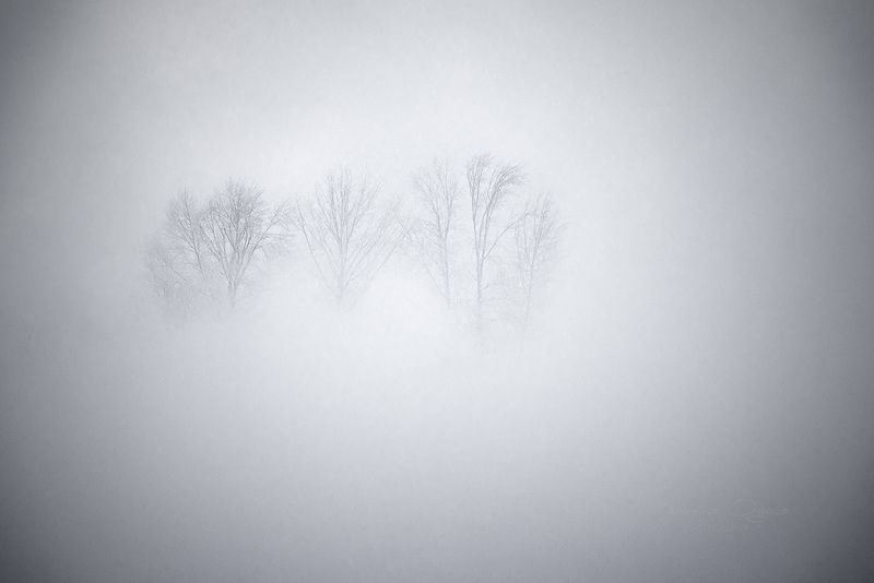 зима, енисей, туман, зимний монохром, мороз, сибирь Графичная зимаphoto preview