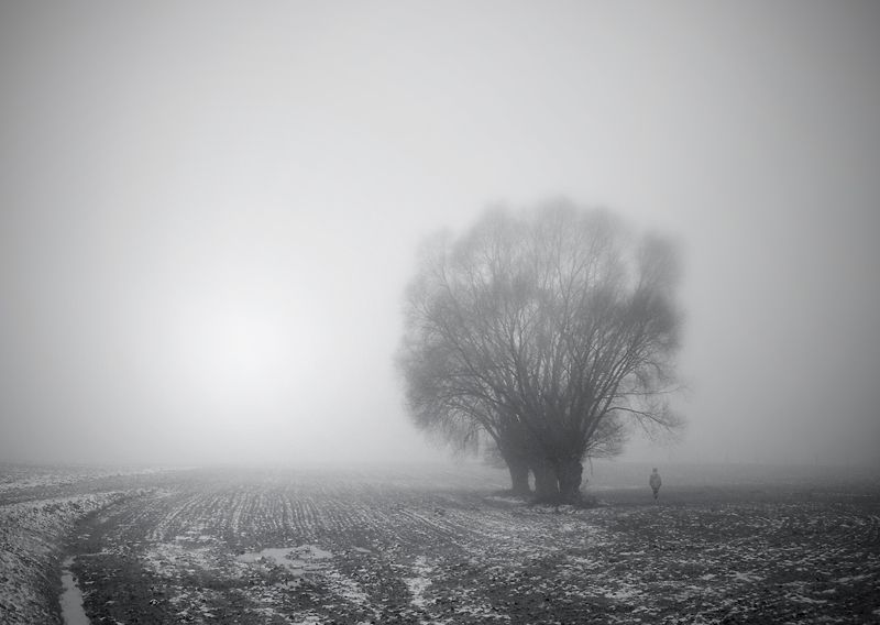 cold morning...photo preview