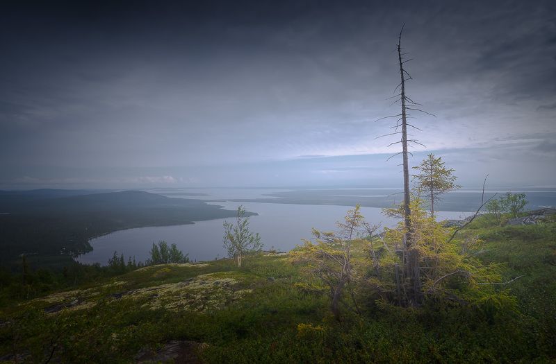 Меланхолияphoto preview