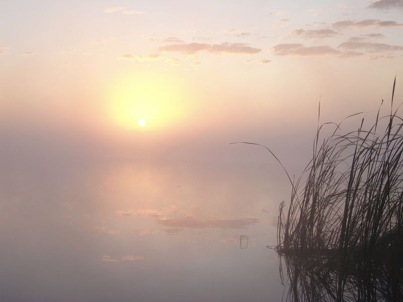 Тишинаphoto preview