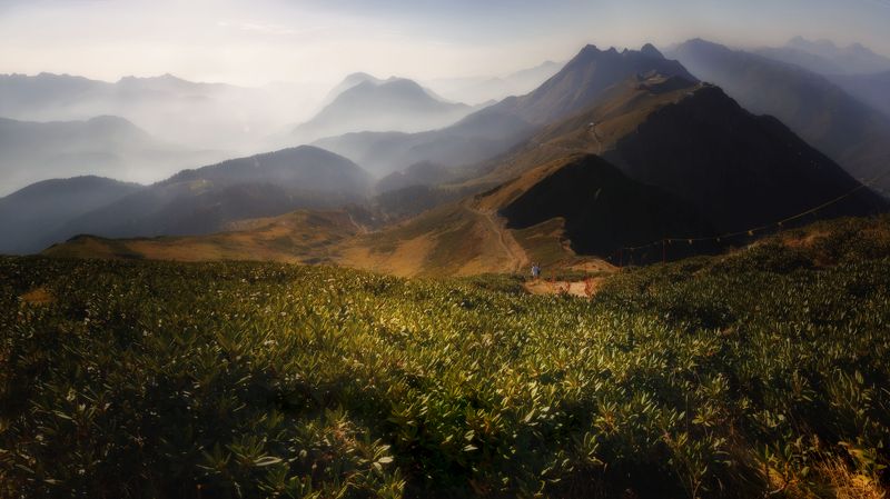 пейзаж, горы, кавказские горы, природа россии, роза хутор Навстречу к солнцуphoto preview