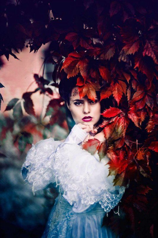 девушка, кусты, портрет Ксенияphoto preview