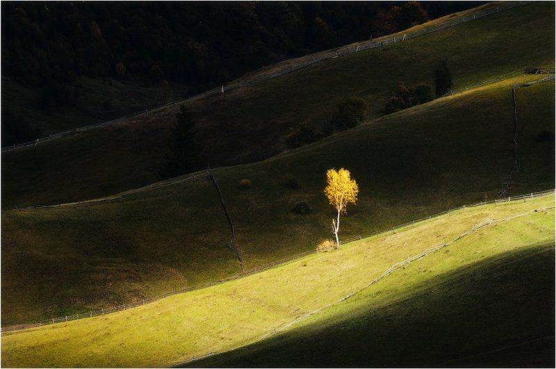 Осенняя рапсодия...photo preview