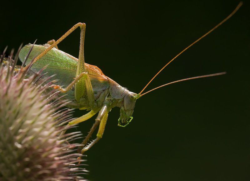 Утренняя йогаphoto preview