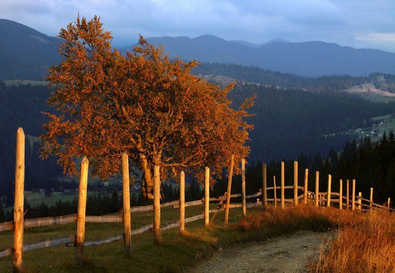 в лучах заката...photo preview