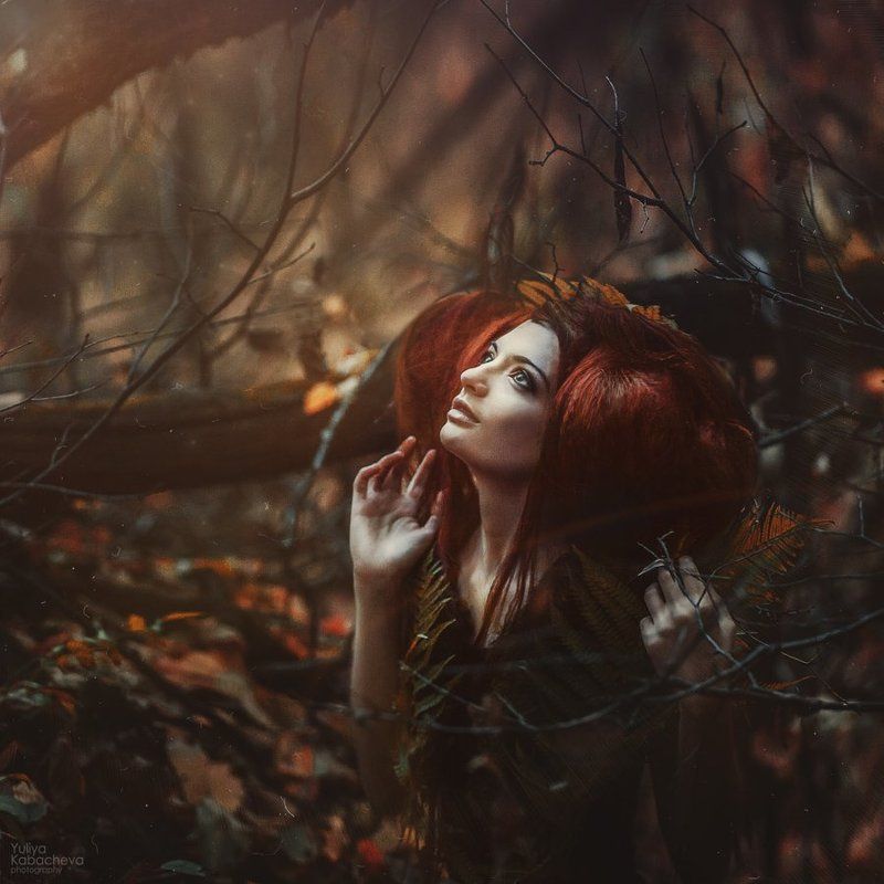 Леснаяphoto preview