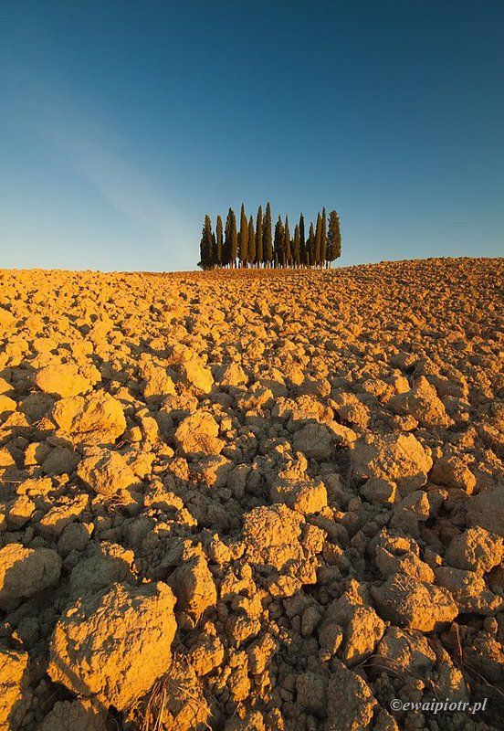 Tuscan autumn IIphoto preview