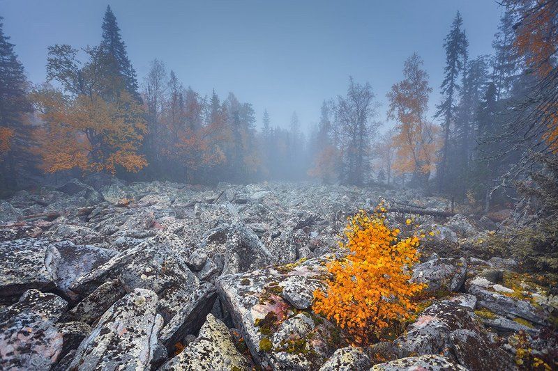 Маленькая, но зато желтее всех!photo preview