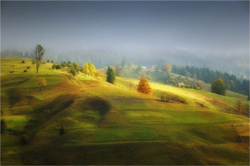 Золото на сером...photo preview