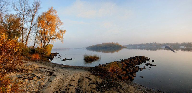 Ауреки фото превью