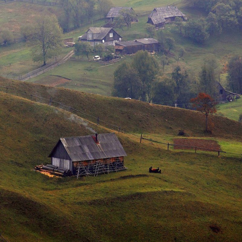 конское счастье...photo preview