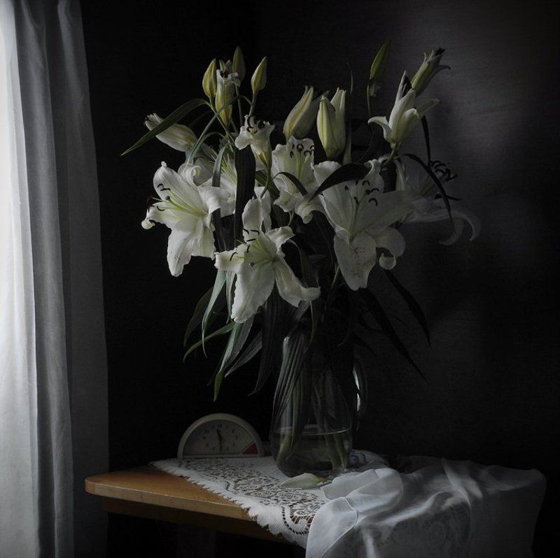 лилии, натюрморт, пасмурно, утро Хмурое утроphoto preview