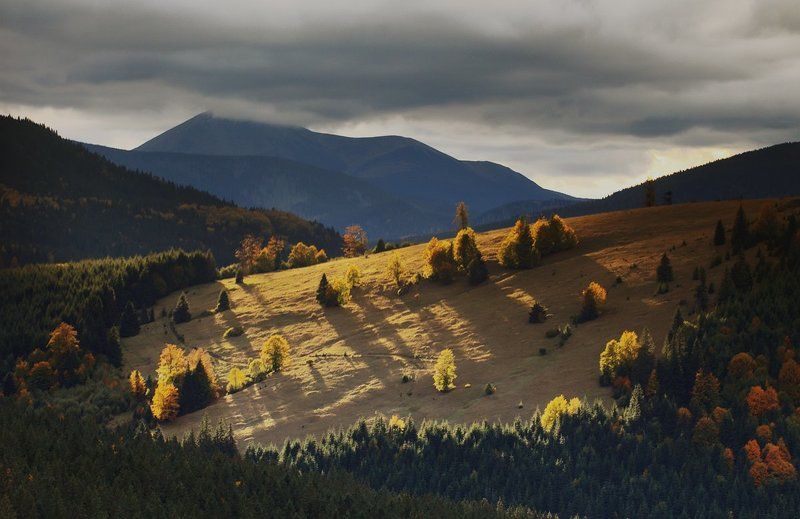 Петросphoto preview