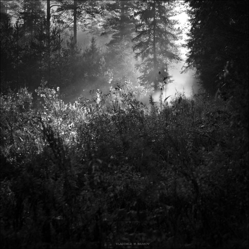 Sunrisephoto preview