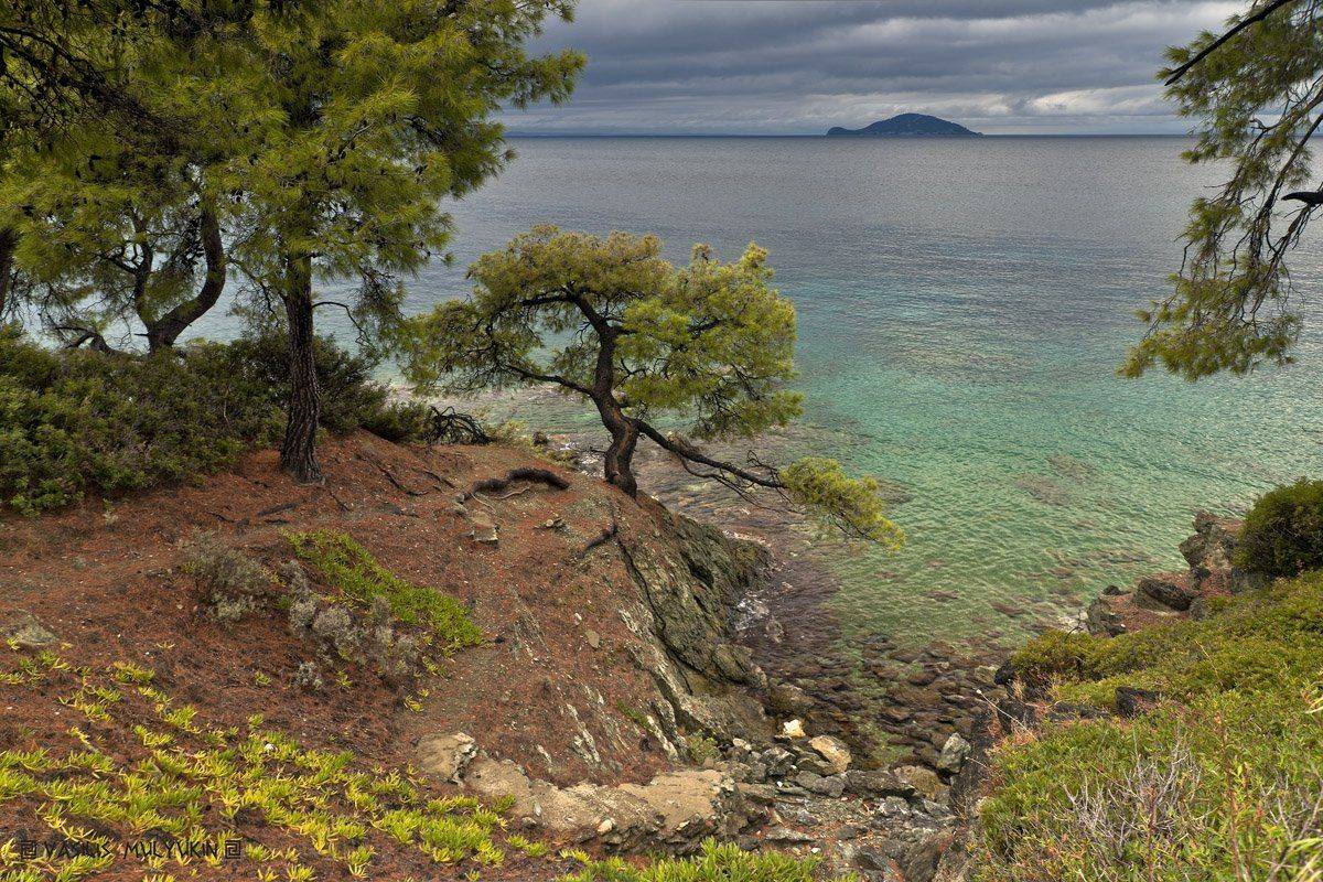 ситония.халкидики.греция, mulden