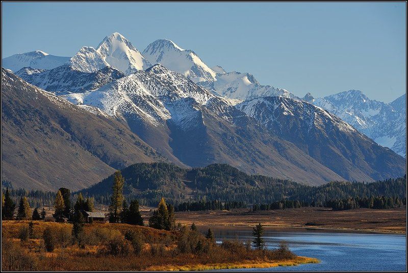 Белуха осенняяphoto preview