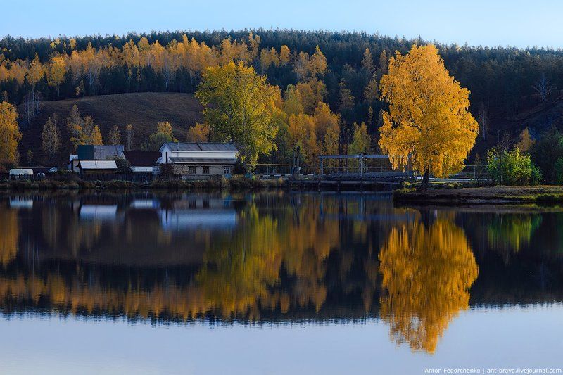 золотая, осень, отражения Autumn reflections IIphoto preview