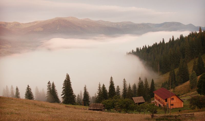 Молочные реки...photo preview