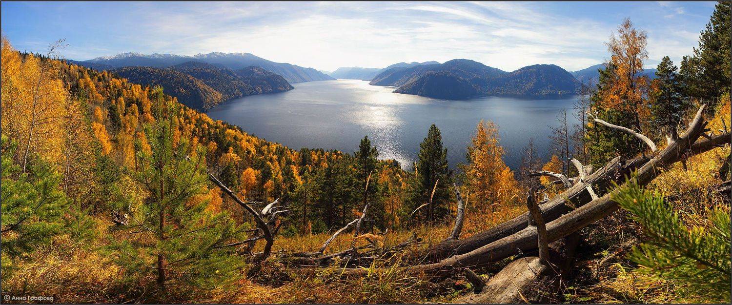 "Золотое озеро". Автор: Аня Графова Алтай, Аня графова, Горный алтай, Горы, Золотая осень, Телецкое озеро, Яйлю, Аня Графова