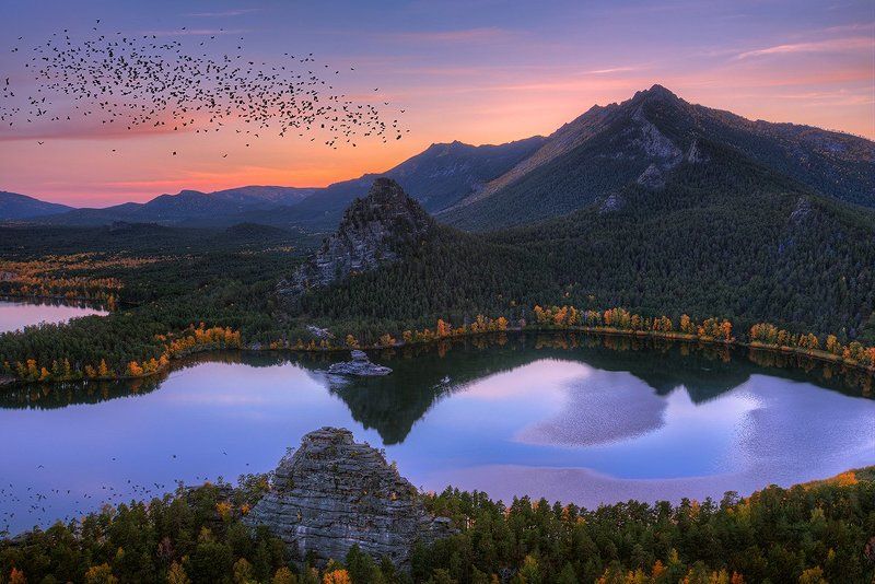 щучье, боровое Пора на Юг...photo preview