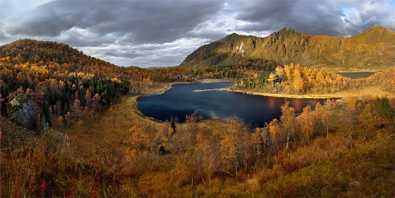 норвегия Золото Норвегии фото превью