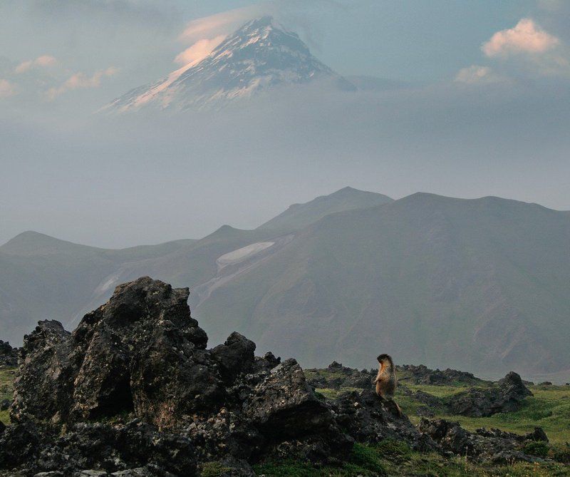 Величие Камняphoto preview