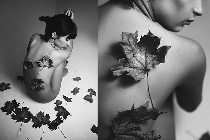 Домашняя осеньphoto preview