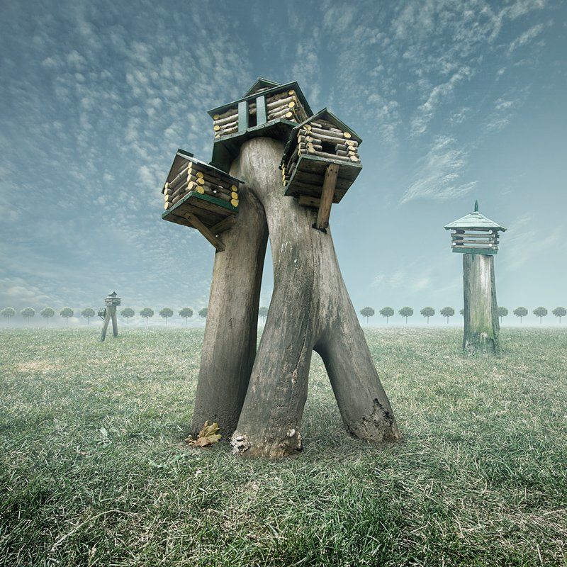 boardinghousephoto preview