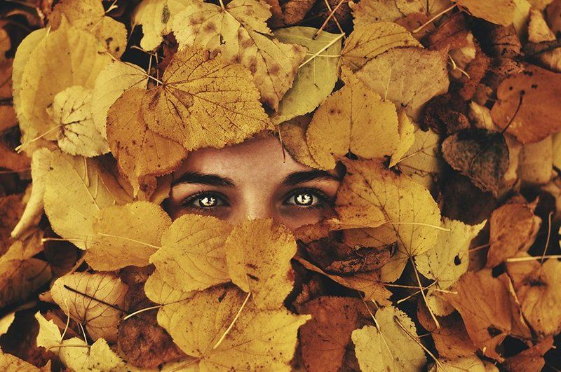 Autumn, Eyes, Face, Portrait, Глаза, Листья, Лицо, Осень, Портрет, Портрет девушки Осень пришлаphoto preview
