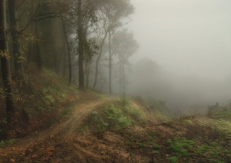 Осенний туманphoto preview