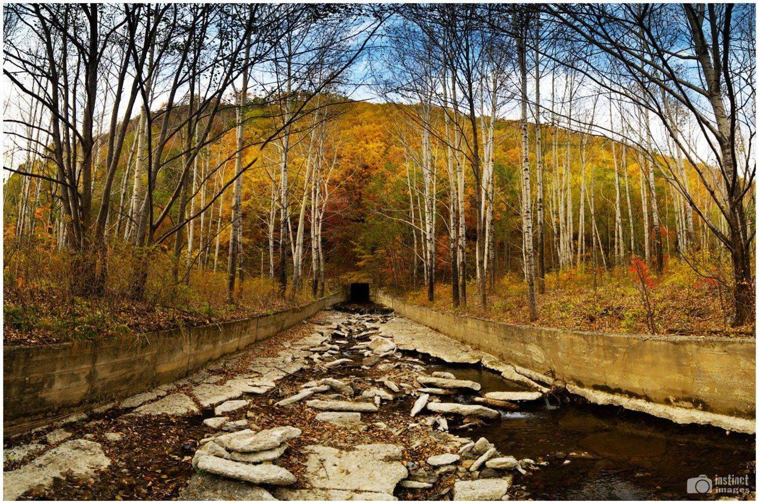 Road to .... Автор: Дмитрий , Дмитрий