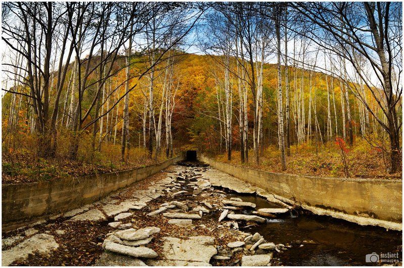 Road to ...photo preview