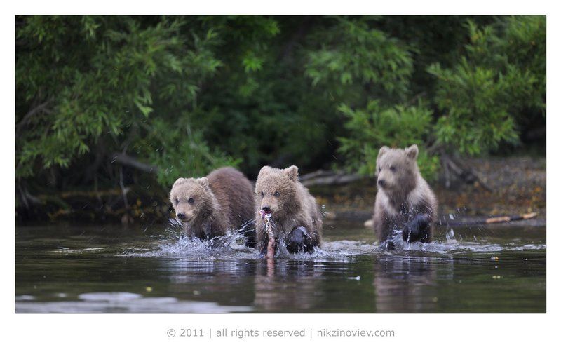 Братваphoto preview