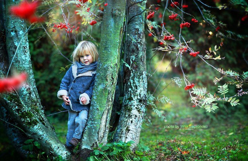 рябиновая осеньphoto preview