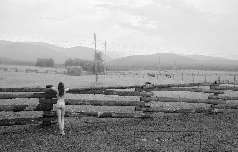 Rustic morningphoto preview