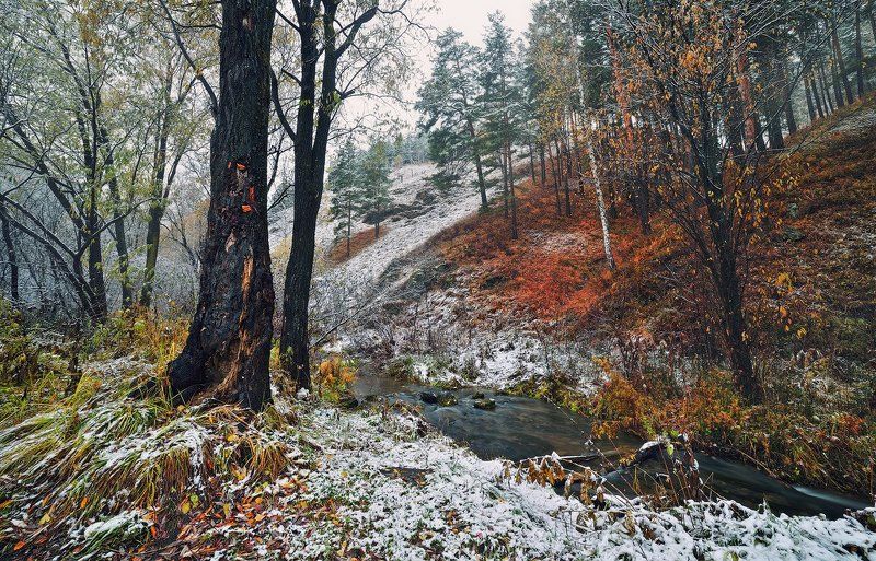 Четыре грустных суслика, возможно пять, но не уверен.photo preview