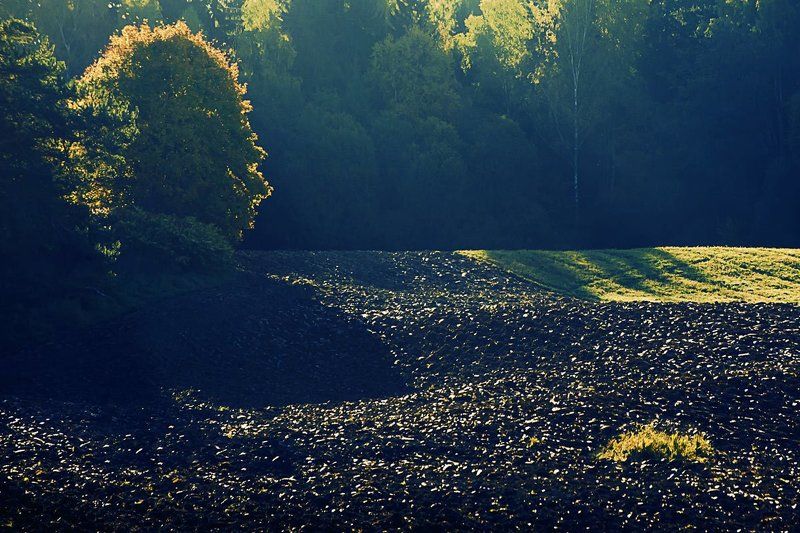 Чёрное золотоphoto preview