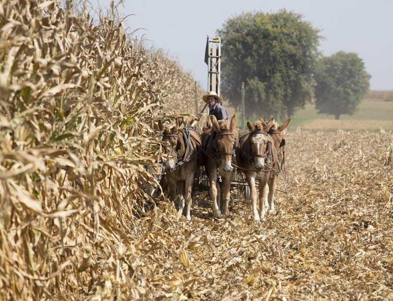 Трудодень №2photo preview