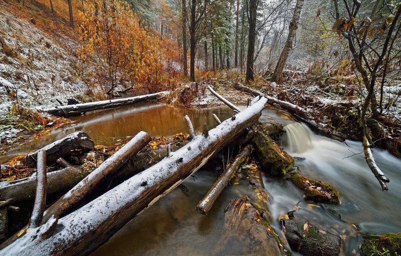 Второй сон третьего суслика.photo preview