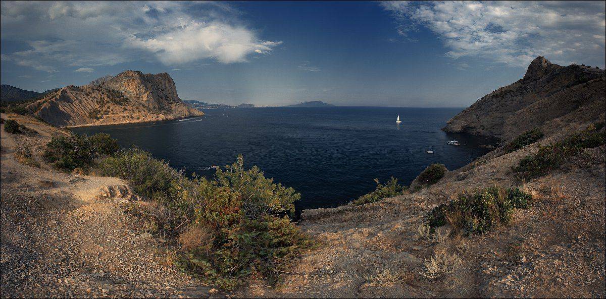 Новый свет. Автор: Полищук И.В. , Полищук И.В.