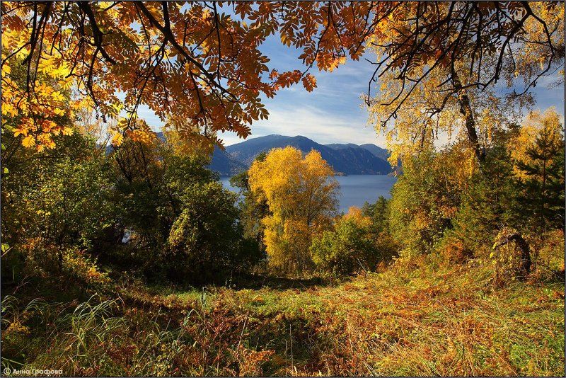 Осенний лес Яйлюphoto preview