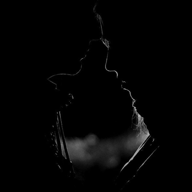 Линииphoto preview