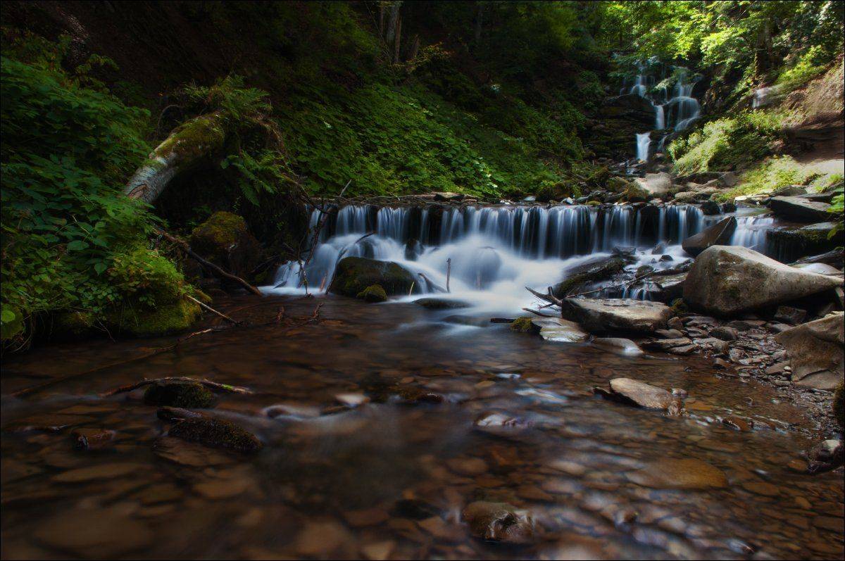 Шипот. Автор: Полищук И.В. , Полищук И.В.