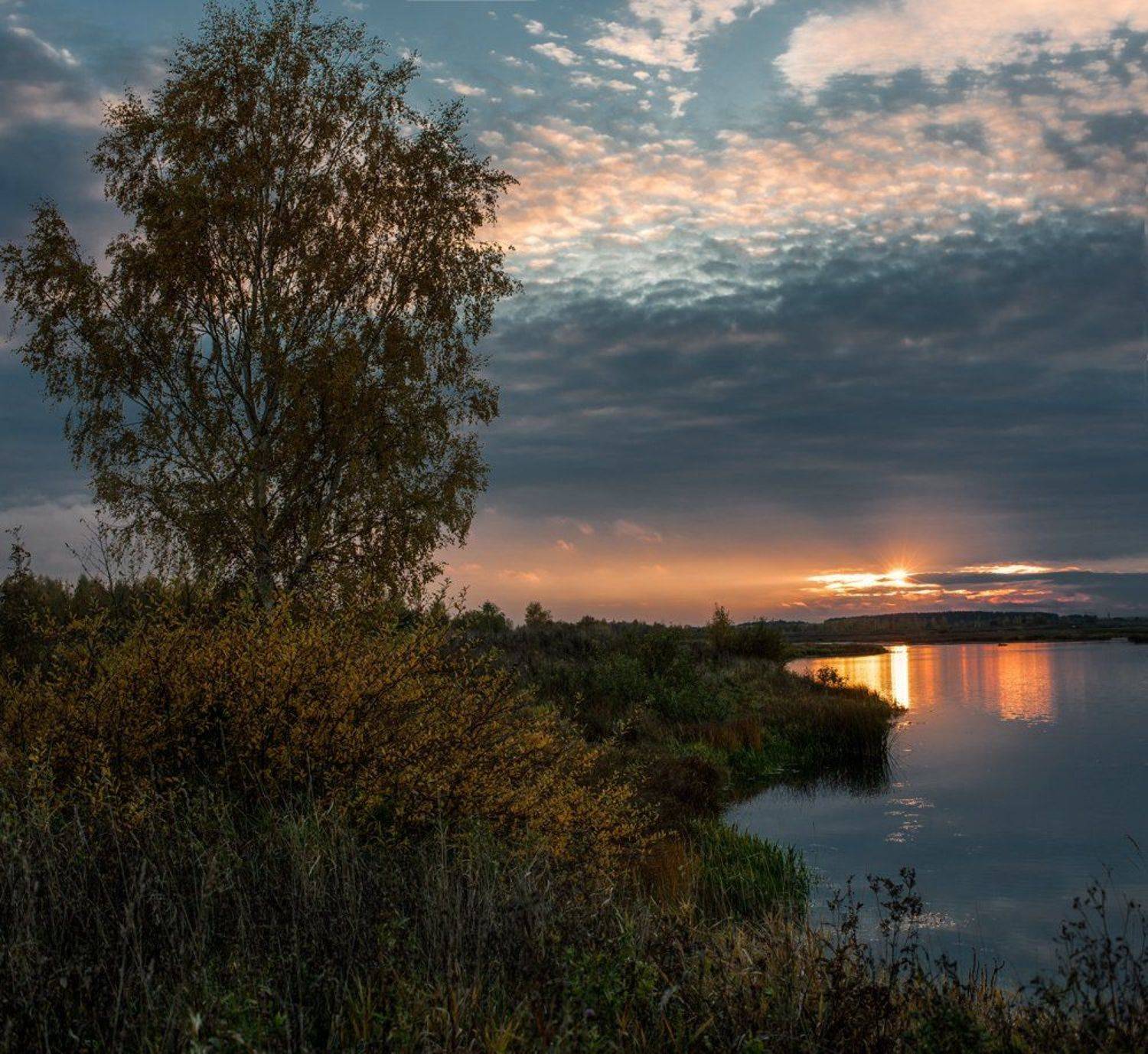 , Евгений Цветков