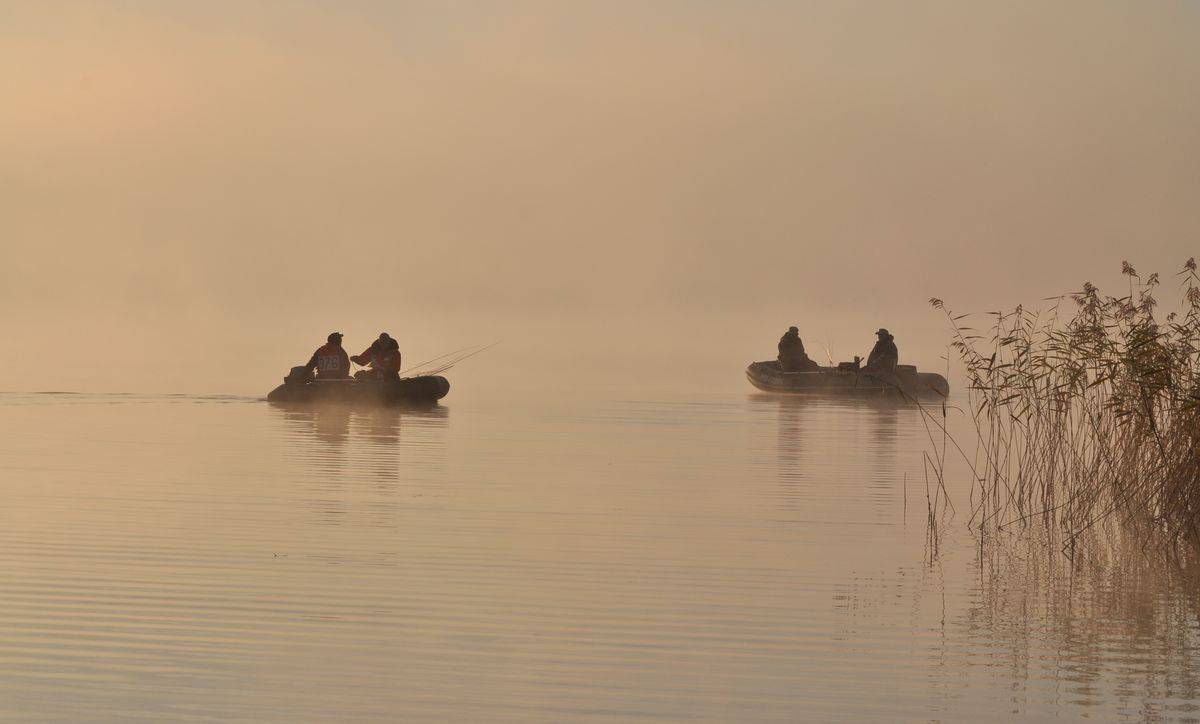 Автор: Володимир Карчевський , Володимир Карчевський